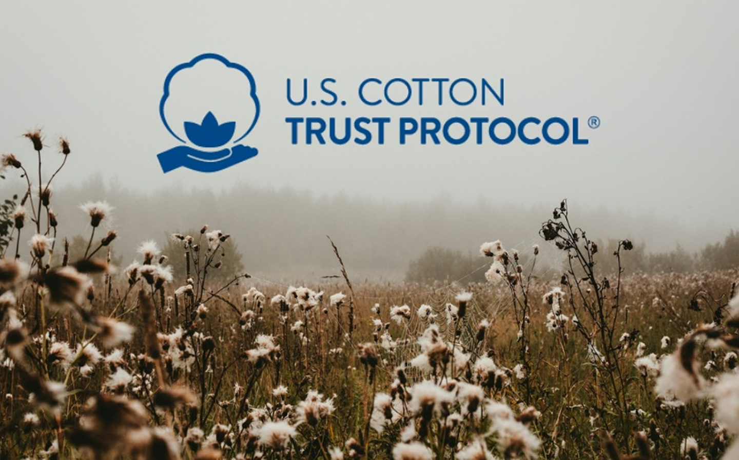 Bukan Sekadar Sertifikasi, Ini Manfaat U.S. Cotton Trust Protocol untuk Pabrik Tekstil