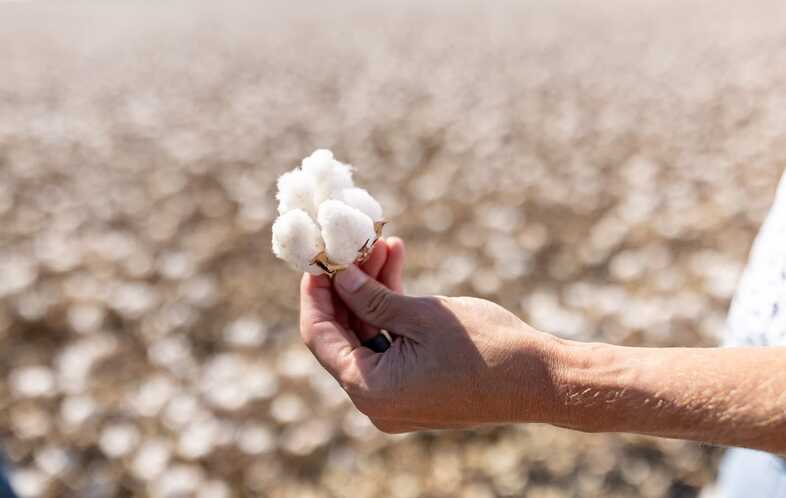 Mengenal Sertifikasi Better Cotton (BCI), Standar Sustainability yang Dicari Brand Global